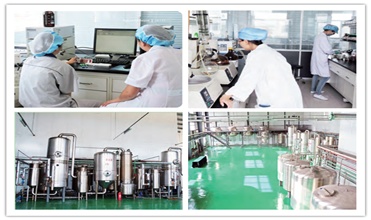 血ブドウ糖を水平にするIsomaltooligosaccharide 900繊維のFDAの甘味料を減らしなさい 4