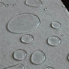 Rigid Silioxane Water Repellent Powder With High Permeability